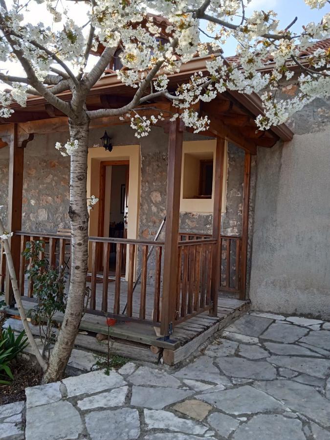 Arcadianis Lakeview Villa At Psari Arkadias Psárion المظهر الخارجي الصورة